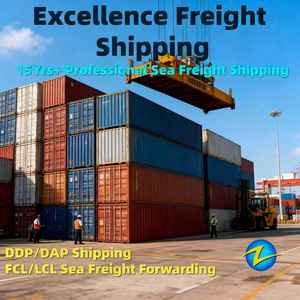 Sdoganamento DDP Spedizione Marittima e Aerea da Shanghai, Xiamen, Tianjin a Patna, Bhopal, Gurugram, <span class=keywords><strong>Gurgaon</strong></span>, Spedizioniere DDP LCL FCL - Product Image 3