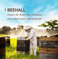 BEEHALL 500g Miel Cristallisé Prix Miel Biologique Pur 100% Naturel Miel d'Abeille des Montagnes de Changbai