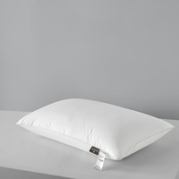 Coussins de dossier modernes en coton uni avec rembourrage en fibres de polyester aspect soie. Lavable et respirant. OEM/ODM disponible. Fiable