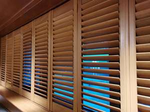 Dernier modèle de fenêtres <span class=keywords><strong>jalousie</strong></span> fabricant de fenêtres aveugles étanches avec volet en aluminium - Product Image 4