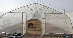 <span class=keywords><strong>Invernadero</strong></span> Agrícola de Plástico de Alta Calidad, Invernaderos Victorianos, Fabricante Chino, <span class=keywords><strong>Invernadero</strong></span> Completo Personalizable - Product Image 3