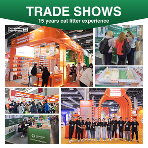 Lettiera per gatti polvere perfetta gatti min prezzo salute <span class=keywords><strong>turco</strong></span> Eco Angilic Fine Klumpy esclusivo 4kg - Product Image 3