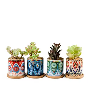 Piccoli vasi per piante succulente Mini vaso di fiori vaso in ceramica con motivo geometrico colorato