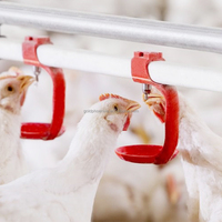 Buveur automatique de mamelon de poulet d'acier inoxydable de YYC pour le système potable de volaille