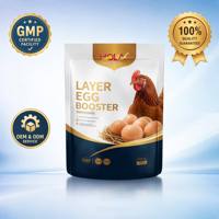 Additif alimentaire pour améliorer la production et la qualité des œufs de poule, prémélange avicole haute performance, prix d'usine