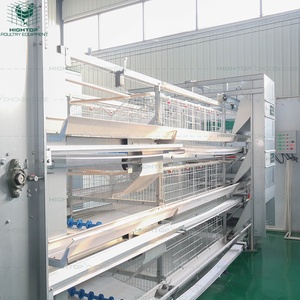 4 Lớp Pin H Loại Trứng Gà Đẻ Gà Mái Gia Cầm Lồng Với Hệ Thống Thu Thập Trứng Tự Động - Product Image 5