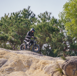 EU UK US Warehouse Q20 standard <b>1000W</b> 20* 4 inch fat tires 48V 20Ah <b>electric</b> <b>bike</b> with 36 mph top speed - Product Image 5