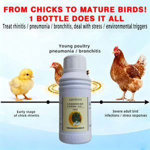 Hu Du Qing Toevoegingsmiddelen Verminderen Effectief Hoest Ondersteunt Longherstel - Product Image 4