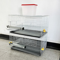 Cage de caille empilable de haute qualité Cage de poussins de poulet Cage de batterie de caille pour l'élevage de cailles