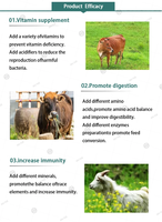 Prémélanges Alimentaires pour Bovins, Additifs Alimentaires, Suppléments pour Bétail et Chèvres, Poudre Minérale pour Chèvres, Additif pour Ensilage Bovin, Booster