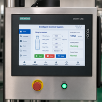 Machine de remplissage automatique de shampoing, machine de remplissage de savon liquide, machine de remplissage de pâte, machine de remplissage de bouteilles en plastique