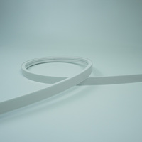 Profil en silicone pour bande LED, diffuseur en silicone pour bandes lumineuses néon, éclairage de voie d'accès avec silicone