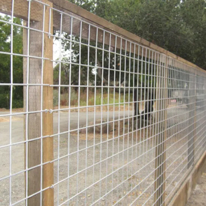 Cheap <strong>Electro</strong>-Welded <strong>Square</strong> Hole <strong>Mesh</strong> Roll Fencing Galvanized Steel &amp; Iron Wire for Rabbit Cages Welding <strong>Mesh</strong> - Product Image 5