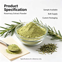 Poudre d'extrait de feuille de Rosmarinus Officinalis multi-malaxée en vrac disponible pour la production de composés alimentaires et la matière première cosmétique