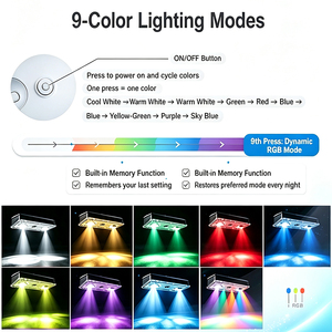 Lámpara Solar Impermeable para Valla/Pared con 2 LED, Iluminación Nocturna Continua, 9 Modos <span class=keywords><strong>de</strong></span> Color y Función <span class=keywords><strong>de</strong></span> Memoria - Product Image 2
