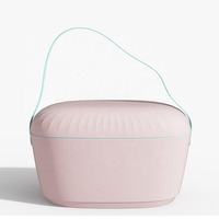 Vente en gros CB9009 mini-glacière de luxe portable 12L d'extérieur moderne multifonction logo personnalisé moderne moulé par rotation PE thermique pour aliments