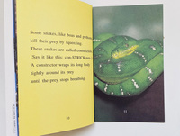 Série I Can Read Amazing : Livres d'histoires sur les animaux en 5 volumes avec papier artistique et finition gaufrée
