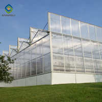 Serre en polycarbonate Venlo, serres hydroponiques pour l'agriculture