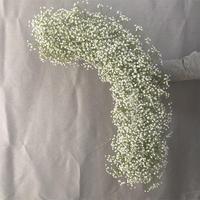 Bogen-Hintergrundreihe aus Seiden-Kunstblumen, Künstliche Schleierkraut-Blumen, Künstlicher Schleierkraut-Blumenläufer