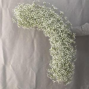 Arreglos <span class=keywords><strong>de</strong></span> Flores Artificiales <span class=keywords><strong>de</strong></span> Paniculata para <span class=keywords><strong>Fondo</strong></span> <span class=keywords><strong>de</strong></span> Arco y Camino <span class=keywords><strong>de</strong></span> Mesa - Product Image 4