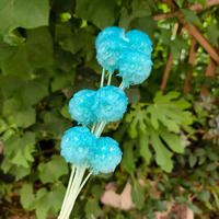 Vente chaude Préservé Éternelle Fleur Coloré Séché Moulin À Vent Fruits Scabiosa Fleurs pour Mariage