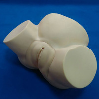 Modelo de Entrenamiento Avanzado en Obstetricia y Ginecología, Realista, Anatómico, para Escuelas de Medicina, Certificado ISO, Completamente Funcional, de PVC