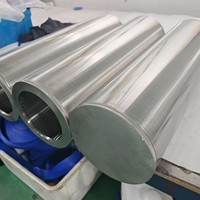 Filtre à bougie conique en fil métallique à paroi mince et à fentes étroites pour équipement de filtration de bière