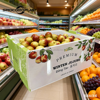Boîte de stockage de maïs ventilée PP feuille creuse caisse de maïs produire conteneur respirant ferme récolte panier en plastique