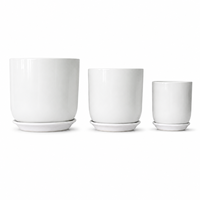 Vente en gros de pots de fleurs blancs simples pour plantes succulentes, décoration intérieure et extérieure, pots de jardin, moules pour pots de fleurs