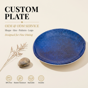 Assiette de présentation en mélamine 10 pouces, personnalisable OEM/ODM, pour buffet d'hôtel et <span class=keywords><strong>brunch</strong></span>, vente en gros - Product Image 1