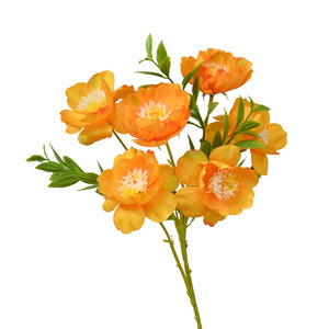 Fleur de pivoine artificielle Dongchen Crafts, 30cm-100cm, en soie, pour décoration intérieure et accessoires de mariage - Product Image 5
