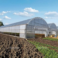 Grande serre agricole verticale à simple travée avec film PE et ventilation latérale et supérieure