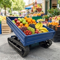 Kostenloser Versand 1-Tonnen-Raupenlader Mini-Baggerlader mit Fernbedienung Landwirtschaftlicher Lastentransporter und 1 Jahr Garantie