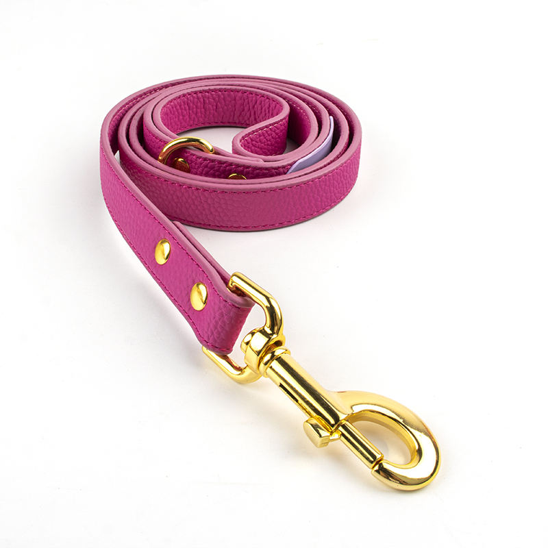 สายจูงและปลอกคอสีชมพู