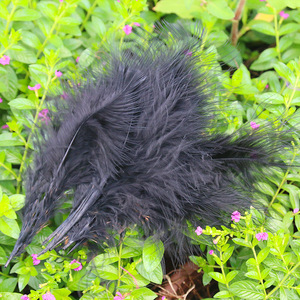 Plumes de marabout de dinde blanches, violettes et noires de la meilleure qualité, en guirlande, pour la confection de costumes - Product Image 5