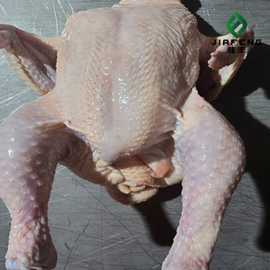 <span class=keywords><strong>Pollo</strong></span> Halal, las Comidas Maestros Comienzan Aquí - Product Image 1
