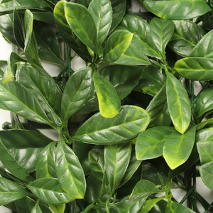 Moderno hierba falsa pared 50cm x 50cm pared artificial planta al aire libre <span class=keywords><strong>vertical</strong></span> verde en <span class=keywords><strong>el</strong></span> jardín y Plaza - Product Image 4
