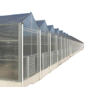 <span class=keywords><strong>Super</strong></span> Alta Qualidade Tamanho Grande Multi Túnel Estufa Agrícola Para Flor De Tomate Vegetal Cogumelo Crescendo