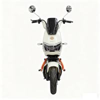 Vélos électriques à une vitesse pour hommes et femmes, avec batterie dissimulée, vente en gros d'usine pour le commerce transfrontalier et les trajets quotidiens