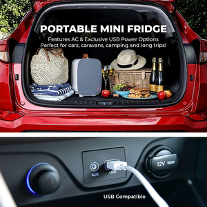 Portable 6l New Ac 100~240v Small Fridge Home for Drinks Mini Fridge - Product Image 5