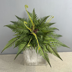Forêt Style Aménagement Paysager Plante Artificielle Tête De Singe Vert Fougère avec Herbe Fleur Faux Herbe Feuille Coin Vert Plante Matériel - Product Image 1