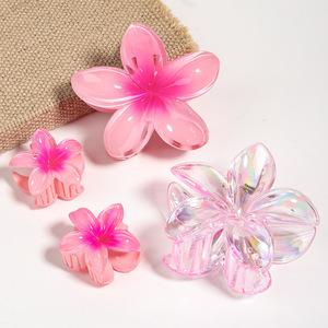 Набор из 76 ярких, милых и очаровательных заколок для волос: большие заколки и резинки для женщин - Product Image 6