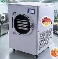 Hoge-efficiëntie roestvrijstalen kleine vriesdroogmachine voor kleine schaal fruit snoep lyofilisatie kleine vriesdroogmachine