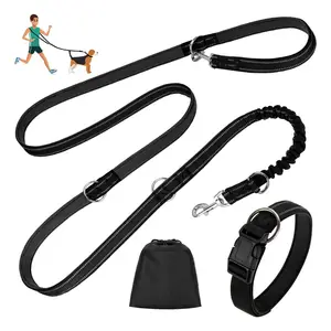 QQgift Custom Logo Double Lead Free Handlebar Practice Leads with Retractable Leads 3M for Medium Dogs up to 50 kg, Large Dogs