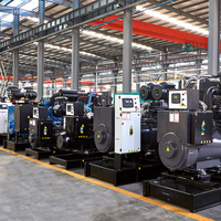 Générateur diesel à châssis ouvert 200 kW/220 kW 250 kVA/275 kVA avec moteur Weichai WP10D264E350 pour usage industriel, commercial et domestique, certifié CE ISO ATS