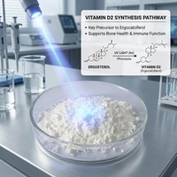 Ergostérol 98% fermenté à la levure naturelle, Provitamine D2 en poudre en vrac, compatible végétalien, pour compléments alimentaires