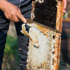 آلة ضغط الشمع يدوية التشغيل / مكبس شمع من الفولاذ المقاوم للصدأ من الصين - Product Image 4