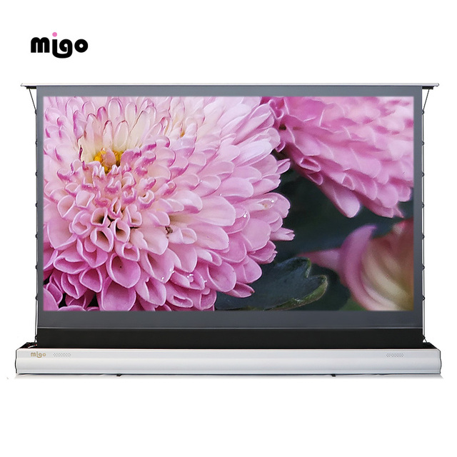 MIGO 120 Inch Sound Acoustically Transparent Floor Screen 4k Laser TV Portable ALR Movie Theater Projector Screen
