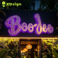 Lettres lumineuses LED personnalisées XDsign Starry Sky pour événements, enseigne de mariage certifiée CE, éclairage publicitaire extérieur pour voiture