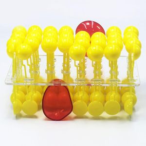 Hücre Membranı Akış Modeli Yapısı Anatomik Model Hücre Akış Mozaik Modeli <span class=keywords><strong>Protein</strong></span> ve Lipid Molekülleri Biyolojik Öğretim - Product Image 2